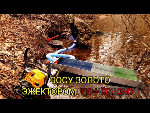 I'M LOOKING FOR GOLD IN THE FOREST, I CLEAN WITH AN EJECTOR IN BLACK.