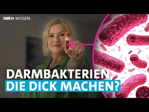 Stimmt es, dass uns eine Darmsanierung abnehmen lässt? | SWR Wissen