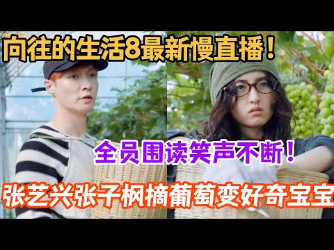 #向往的生活 最新慢直播！张艺兴张子枫摘葡萄变好奇宝宝！全员围读笑声不断！#何炅 #黄磊 #张子枫 #彭昱畅 #张艺兴 #综艺