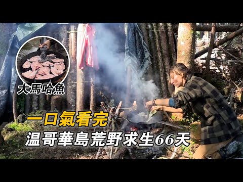 一口氣看完溫哥華島荒野求生66天，連抓6隻珍寶蟹實現海鮮自助，捕獲10斤大馬哈魚，趕海採集海藻海帶補充膳食纖維，挨餓66天贏下50萬美元！紀錄片
