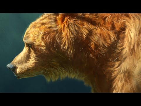 Live Stream: Drawing Grizzly Bears!