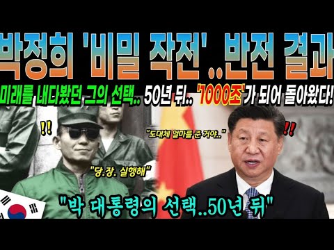 [해외감동사연] "각하, 지금 우리도 굶어죽기 전입니다!!" 모두의 반대에도 박정희가 선택한 비밀 프로젝트, 쌀 1만톤이 50년 후에 1000조가 되어 돌아왔다