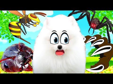 Самые КУСАЧИЕ ролики! ПОДРЯД 5 СЕРИЙ!!!