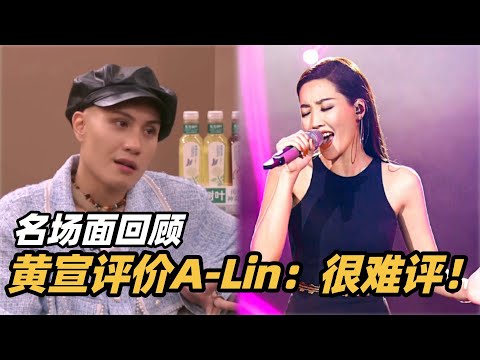 【名场面回顾】黄宣评价A-Lin：全能歌手！我拿什么评价人家！ #歌手2025 #singer2025 #音乐 #单依纯 #黄丽玲 #a-lin #给我一个理由忘记