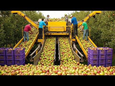 Farmers Save Millions Of Dollars Using This Modern Agricultural Machine - Farming Documentary
