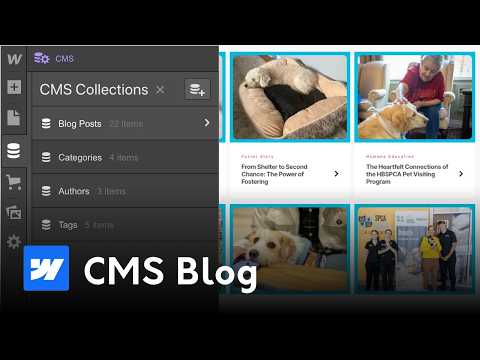 Build a Dynamic CMS Blog in Webflow (Full Tutorial 2025) | Step-by-Step Guide