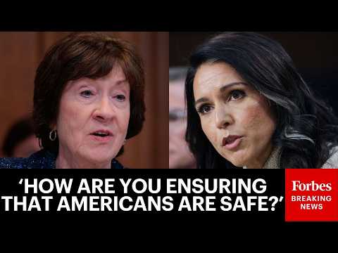 Susan Collins Asks What Tulsi Gabbard Is Doing To Protect Americans From Threats To The Homeland