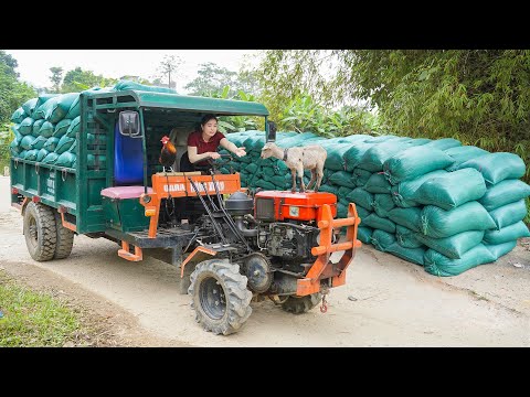 Use Truck To Transport Many Bags of Rice Husks To Sell for Villagers - Goat and Rooster on Truck