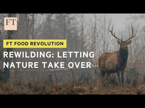 How do you actually rewild a property? | FT Food Revolution