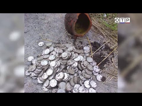 Загадки прошлого: золотая чаша, амулеты и клад Мнишек