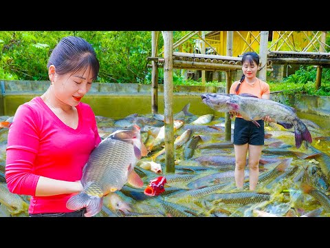 Farm Life: Drain Fish Pond, Catch Big Fish & Sell in Countryside | Nhất Channel