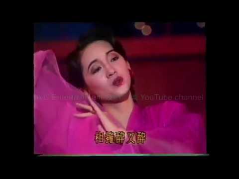 巨星雲集 梅艷芳/陳百強/張學友/羅文/李美鳳/林憶蓮/葉蒨文/呂方/鍾鎮濤等 為慈善獻唱1988白金巨星耀保良