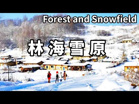 帶你領略北緯41度的冰雪天堂！長白山腳下的小山村，雪海中好像進入了童話世界【大海去旅行】