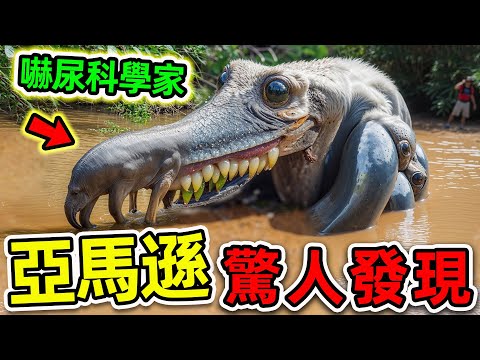 亞馬遜最可怕的10個驚人發現！探險隊意外拍攝的恐怖畫面，第一名科學家至今無法解釋。|#世界之最top #世界之最 #出類拔萃 #腦洞大開 #top10 #亞馬遜 #驚人發現