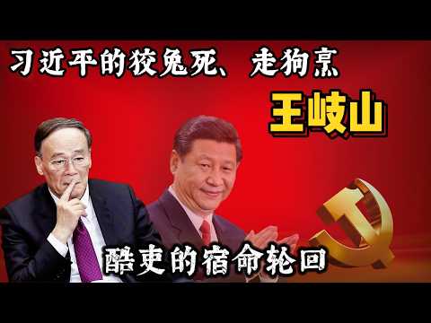 习近平的酷吏,王岐山。从党鞭到弃子,习近平王岐山决裂的真相 #习近平 #王岐山 #中国政治 #政治 #权力斗争 #中共 #中南海 #反腐 #海航集团 #郭文贵 #深度分析 #中纪委
