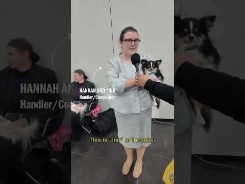 Come with us as we walk through the 2026 Westminster Dog Show