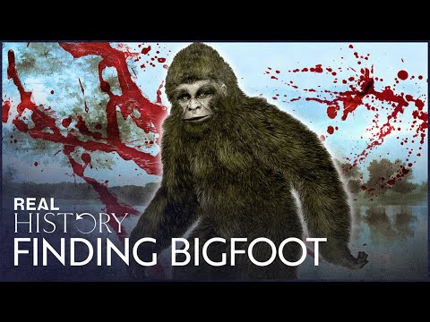 The Bigfoot Expedition That Went Wrong