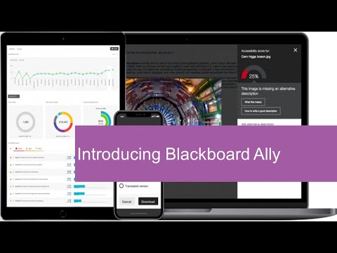 Introducing Blackboard Ally