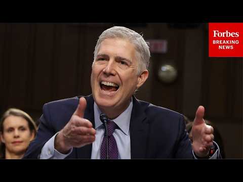 'Mr. Yang, Please': Neil Gorsuch Snaps At Attorney After Repeated Interruptions In Venue Case