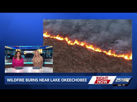 Wild fires burn near Lake Okeechobee