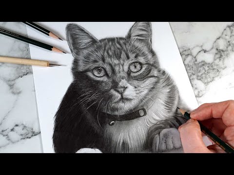 The EASY Way To Draw SUPER SOFT Realistic Fur - Graphite Pencil Drawing Tutorial