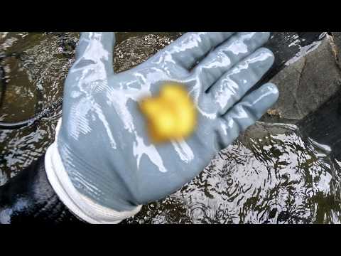 Diver Finds His Biggest GOLD Nugget In Canada!