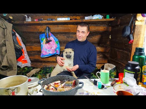 ЖИВЁМ В ИЗБУШКЕ КАК В РАЮ / ПОЙМАЛИ РЫБУ НА СКОВОРДУ / ВЛЯПАЛИСЬ В НАЛЕДЬ / ОТДЫХАЕМ ОТ ЦИВИЛИЗАЦИИ👍