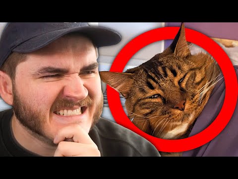 Schlatt Ranks EVERY SINGLE Bedroom EVER