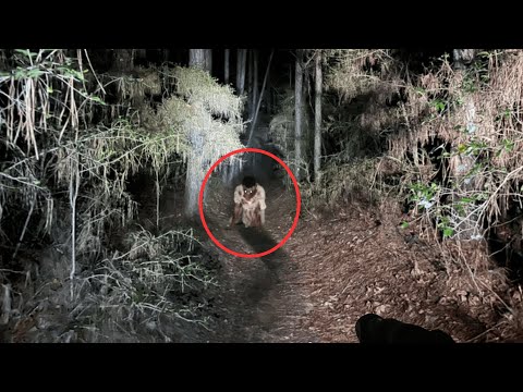 25 SCARIEST Hiking Encounters Caught On Camera | Scary Comp V60