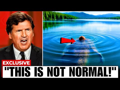 In the Louisiana Bayous, Something Big Just Emerged… And It’s Worse Than “Jaws”