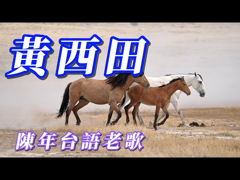 （黃西田）朋友敲碗￼ （陳年老歌分享）謝謝🍉🍉🍉🍉🍉