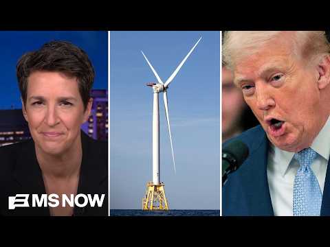 Trump to pay $1B taxpayer dollars to STOP wind farms