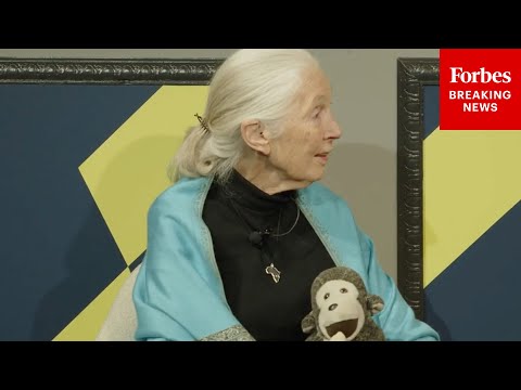 BREAKING NEWS: Jane Goodall Has Died At 91—Here Is Her Forbes Interview From Last Week