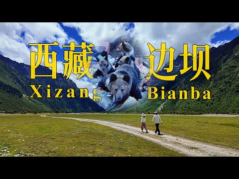 "Self-Driving G349" Episode 4 : Bear & Human Shared Home: Work by Day, Bears Dine by Night