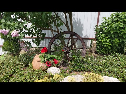 травнева прогулянка садом🦋 що з моєю гортензією🤔