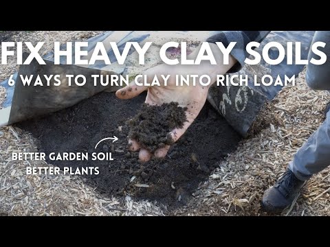 6 Ways to Fix Clay Garden Soil | EASY to HARD Methods