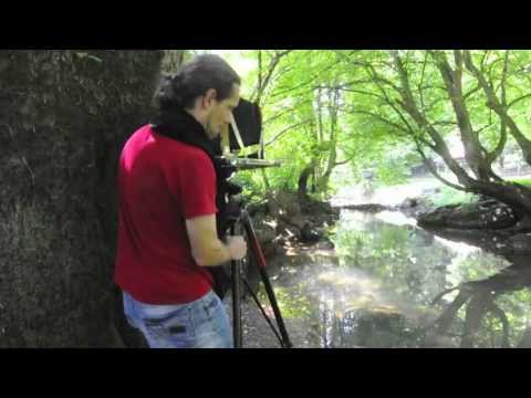Wet Plate Collodion Negative & Salt print process / Borut Peterlin