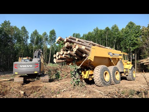 I Hired My First Full Time Employee!