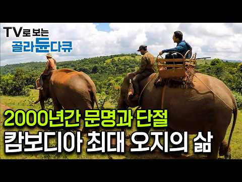 코끼리를 가족 삼아 지내며 문명과 단절된 깊은 정글 속에서 2000년간 대를 이어 살아오고 있는 소수민족, 캄보디아 최대 오지 몬둘키리 이야기｜세계테마기행｜#골라듄다큐