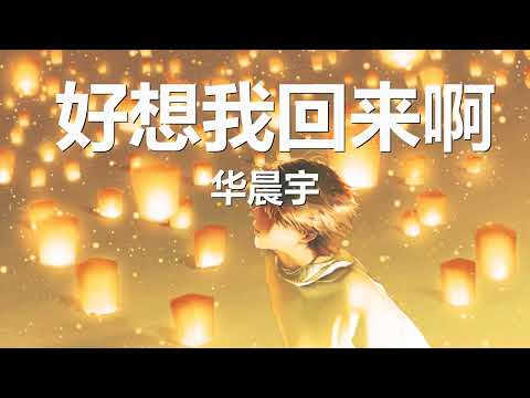 华晨宇 - 好想我回来啊 (歌词) 💗♫