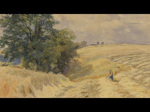 a playlist for reading while enjoying the peace of the garden