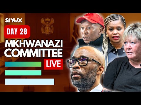 MPs question Cat Matlala about bombshell allegations