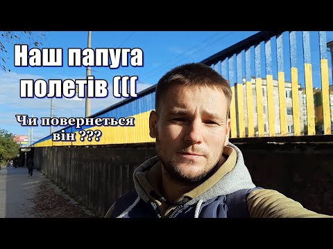 Опеньки в дворі || Гриби рижики || засипаємо старий погреб || розпаковка замовлення@САВАРЮТИКИ