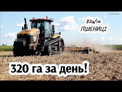 Гусеничний Challenger борона BEDNAR після 82ц пшениці! Менше 30ц соняшнику НЕ збираємо