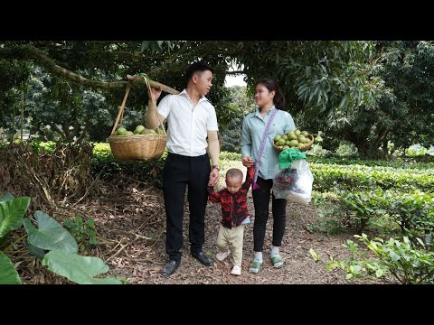 Join CEO Hung to Visit Newly Hatched Chicks and Harvest Star Apple Fruit to Sell at the Market.