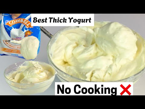 How to Make the best Thick Yogurt At Home for Beginners - Homemade Step by Step Greek Yogurt Recipe