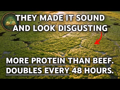 This Plant Has More Protein Than Beef, Doubles Every 48 Hours (But It's Called Pond Scum)