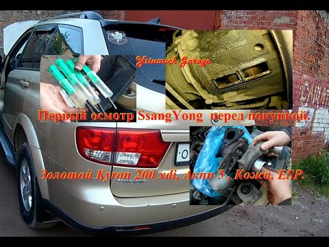 Первый осмотр SsangYong  перед покупкой. Золотой Kyron 200 xdi, Акпп 5 , Кожа, ESP.