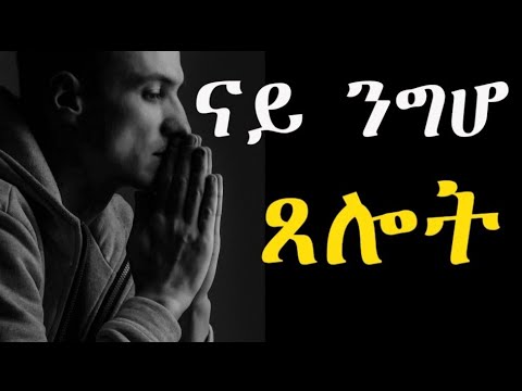 ሰላምን ዕዉትን መዓልቲ ክንውዕል #LbonaMedia