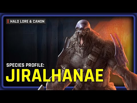 The Lore and History of the Jiralhanae | Halo Species Profile
